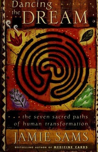 Cover of Dancing the dream