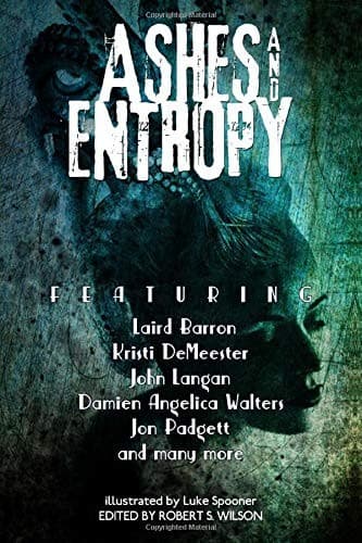 Cover of Ashes and Entropy
