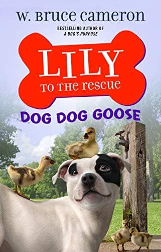 Cover of Lily to the Rescue
