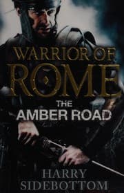 Cover of Amber Road