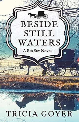 Cover of Beside Still Waters