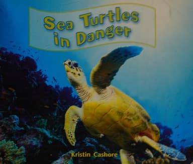 Cover of Sea Turtles in Danger