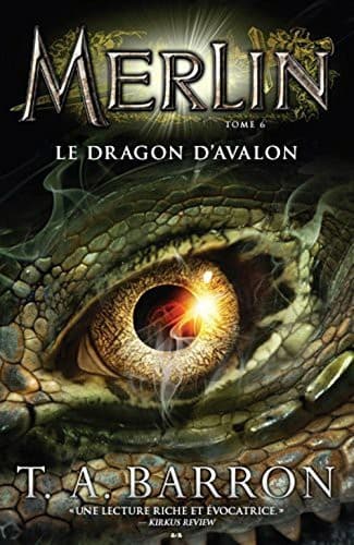 Cover of Le dragon d�Avalon