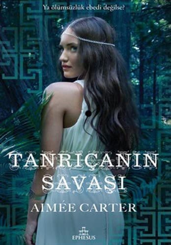 Cover of Tanricanin Savasi