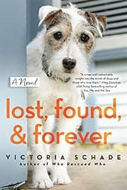 Cover of Lost, Found, and Forever
