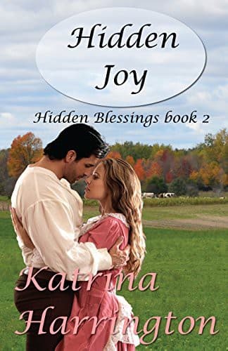 Cover of Hidden Joy