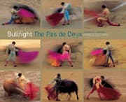 Cover of Bullfight