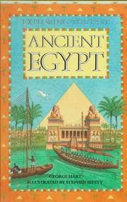Cover of Exploring the past
