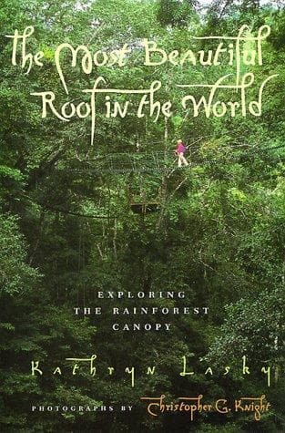 Cover of Most Beautiful Roof in the World