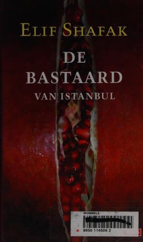 Cover of De bastaard van Istanbul