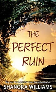 Cover of The Perfect Ruin