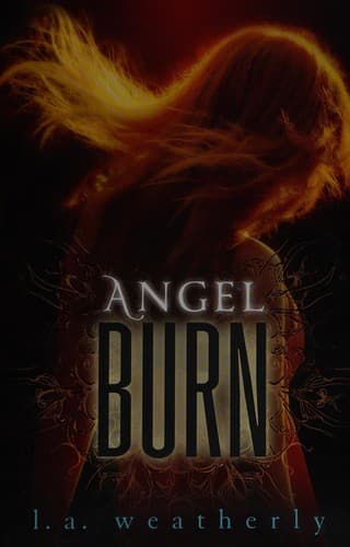 Cover of Angel burn