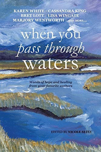 Cover of When You Pass Through Waters