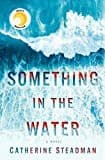 Cover of Something in the Water