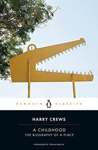 Cover of Childhood
