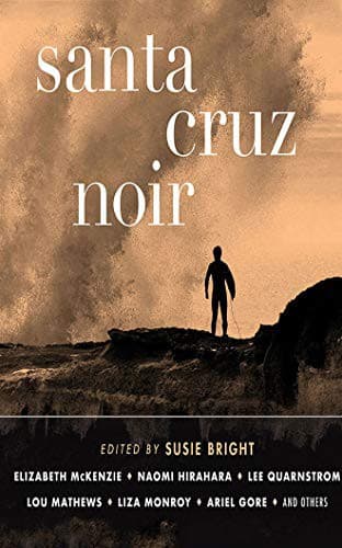 Cover of Santa Cruz Noir