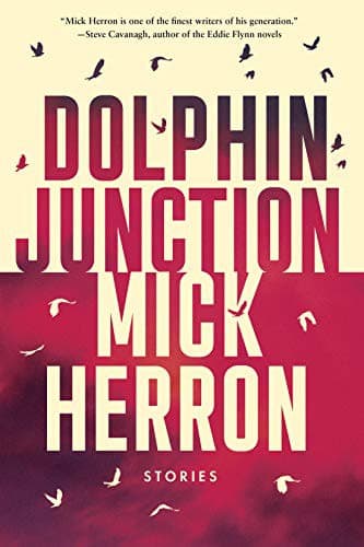 Cover of Dolphin Junction