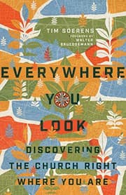 Cover of Everywhere You Look
