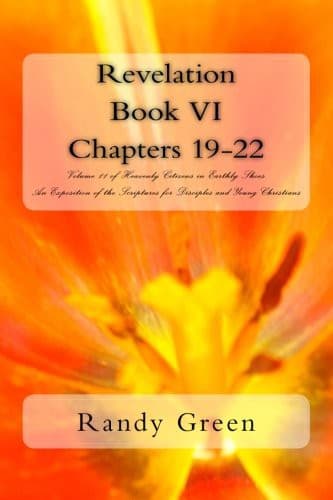 Cover of Revelation Book VI : Chapters 19-22