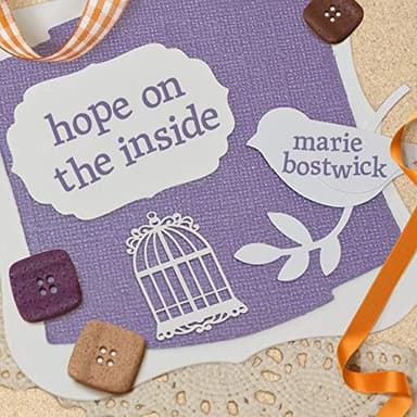 Cover of Hope on the Inside Lib/E