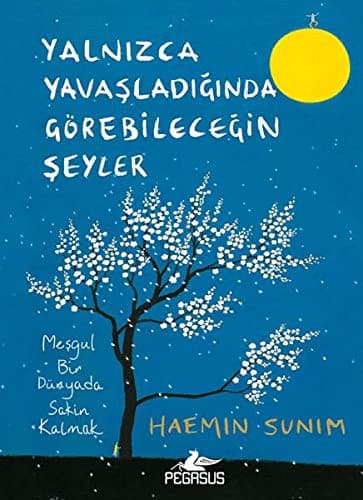 Cover of Yalnizca Yavasladiginda Görebilecegin Seyler