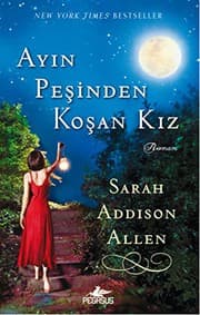 Cover of Ayin Pesinden Kosan Kiz