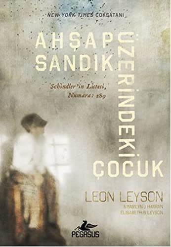 Cover of Ahsap Sandik Üzerindeki Cocuk