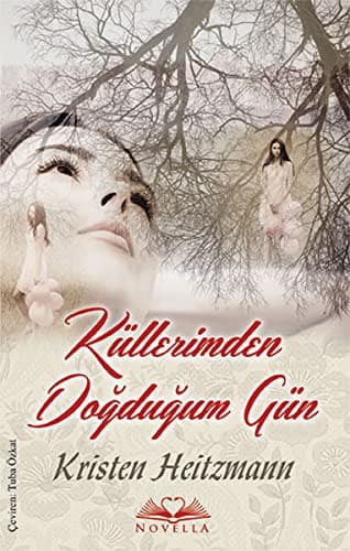 Cover of Kullerimden Dogdugum Gun