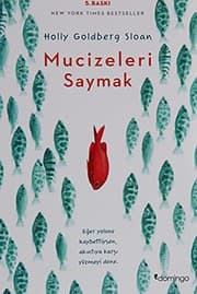 Cover of Mucizeleri Saymak