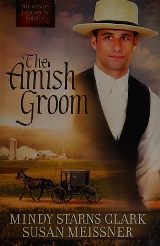 Cover of The Amish groom