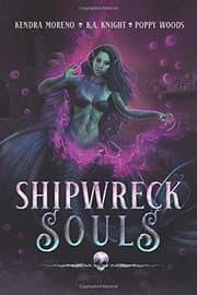Cover of Shipwreck Souls
