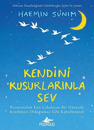 Cover of Kendini Kusurlarinla Sev