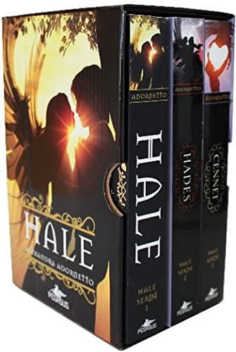 Cover of Hale Serisi Kutulu Set - 3 Kitap Takim
