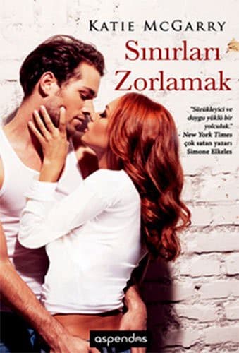 Cover of Sinirlari Zorlamak