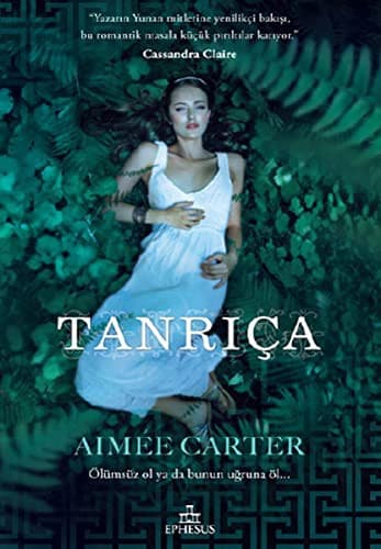 Cover of Tanrica