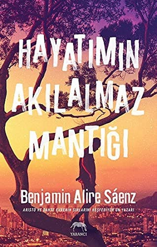 Cover of Hayatimin Akilalmaz Mantigi