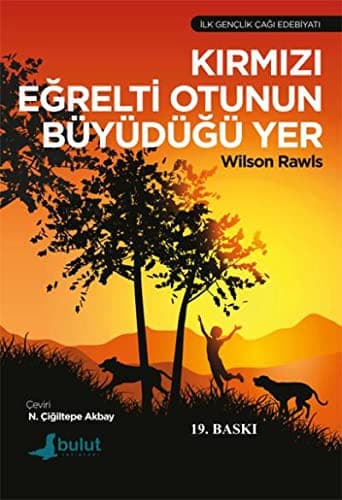 Cover of Kirmizi Egrelti Otunun Buyudugu Yer