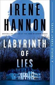 Cover of Labyrinth of Lies