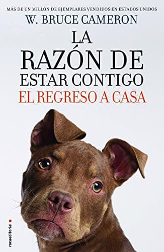 Cover of Razón de estar contigo, La