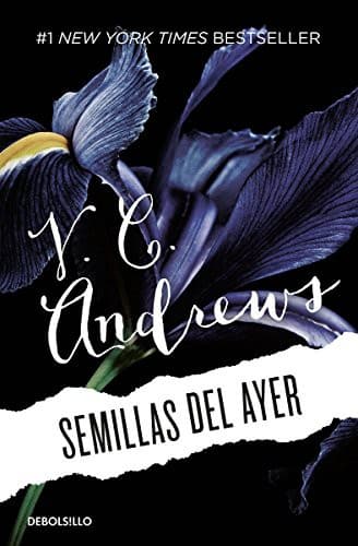 Cover of SEMILLAS DEL AYER