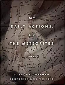 Cover of My Daily Actions, or the Meteorites
