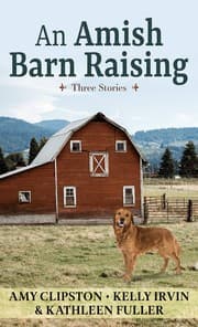 Cover of Amish Barn Raising