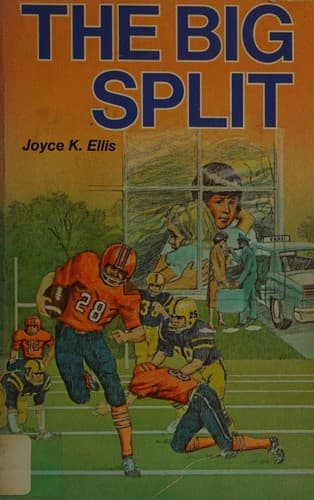 Cover of The big split