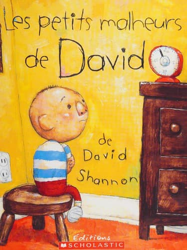 Cover of Les petits malheurs de David