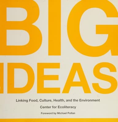 Cover of Big ideas