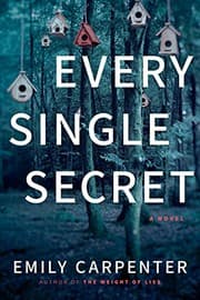 Cover of Every Single Secret