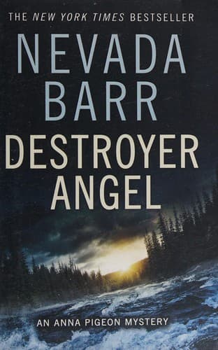 Cover of Destroyer angel