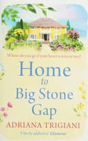 Cover of Home to Big Stone Gap