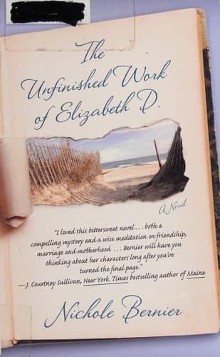 Cover of The Unfinished Work of Elizabeth D.