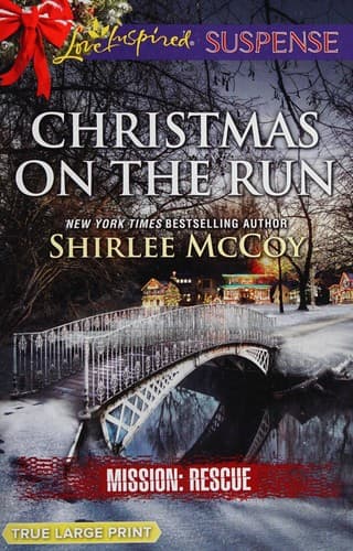 Cover of Christmas on the run